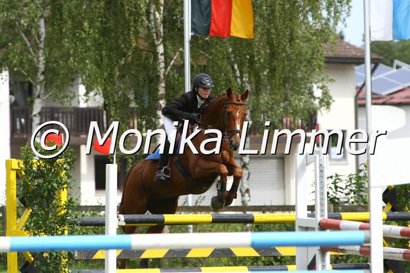 109M0268_Gin fizz_Stilspring L_Finale Franken.JPG